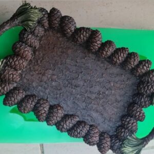 Kozalak tepsi 25×16 cm silikon kalıp no0