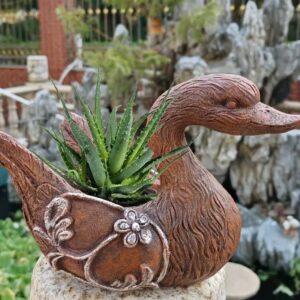 ördek saksı silikon kalıp 23 cm