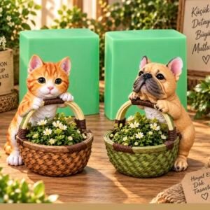 sepetli kedi köpek silikon kalıp 20x18 cm